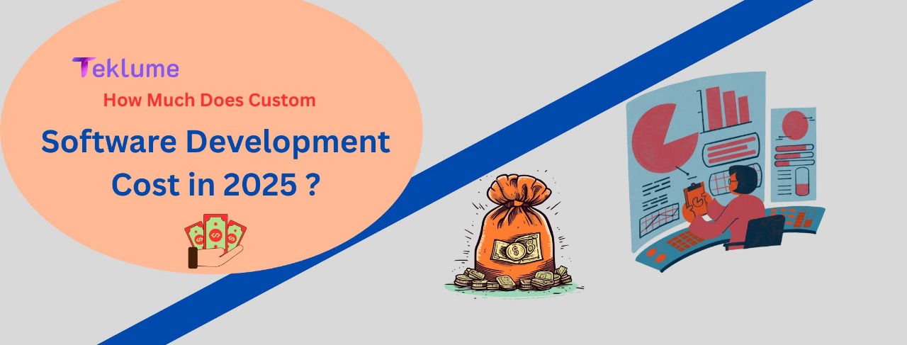 How Much Does Custom Software Development Cost in 2025 | Complete ...